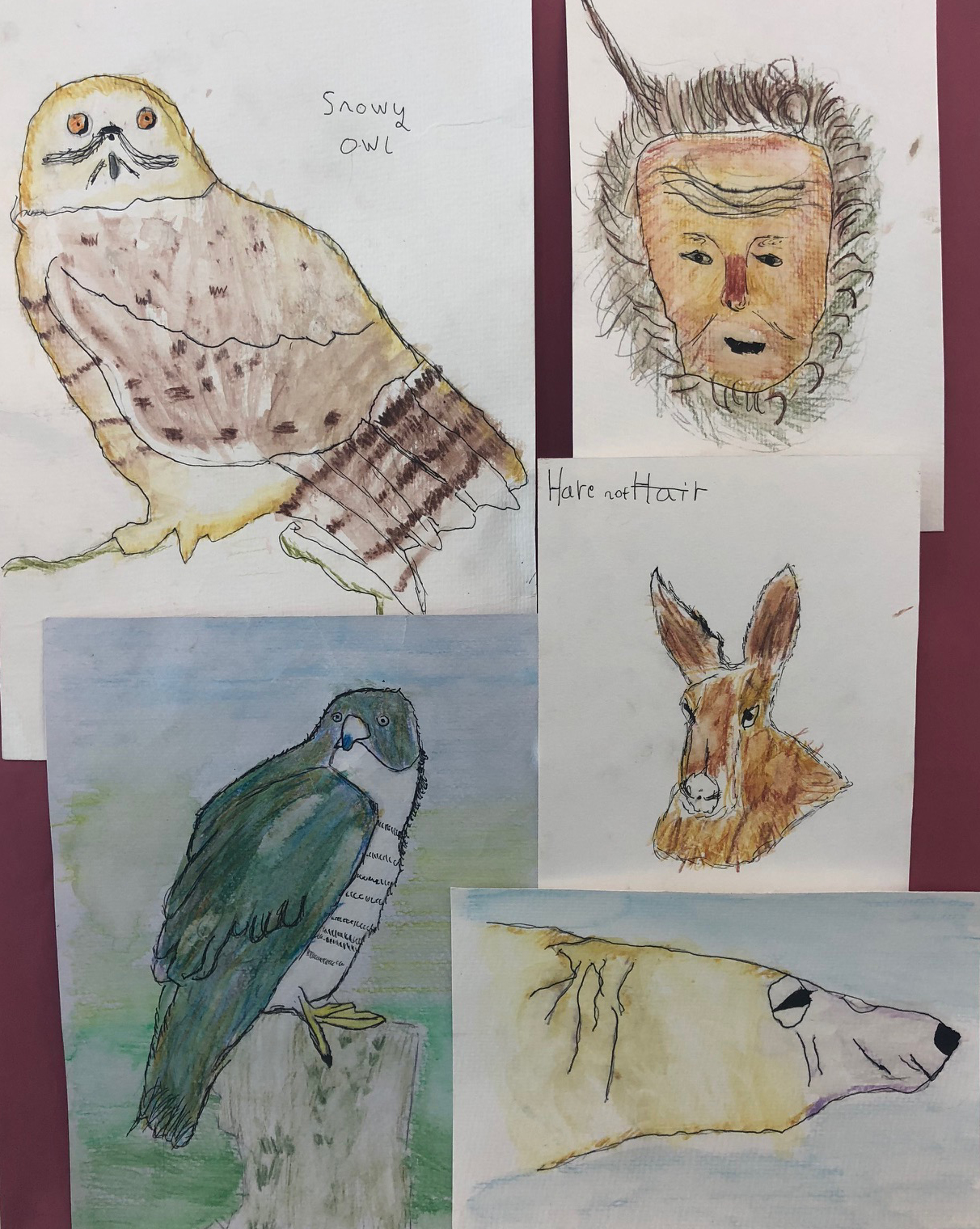 Brian Hatton Young Artist Competition - The Winners 3